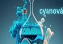 Cyanová: Understanding Its Meaning, Uses, and Significance