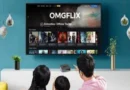 The Rise of OMGFlix: A New Era in Streaming Entertainment