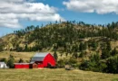 Ashlin Farm Barns: A Unique Blend of Rustic Charm and Modern Luxury