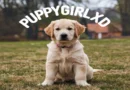 Puppygirlxd: Unveiling the Journey of an Online Sensation